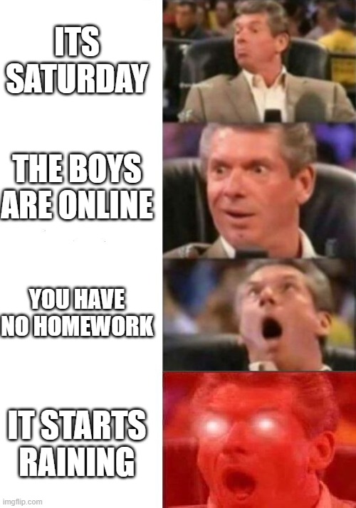 a mock meme | ITS SATURDAY; THE BOYS ARE ONLINE; YOU HAVE NO HOMEWORK; IT STARTS RAINING | image tagged in mr mcmahon reaction | made w/ Imgflip meme maker