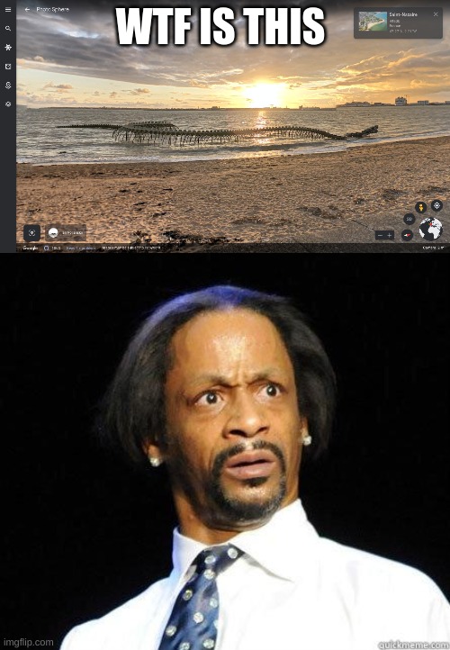 wtf is this i found this on google earth |  WTF IS THIS | image tagged in katt williams wtf meme,reaction | made w/ Imgflip meme maker