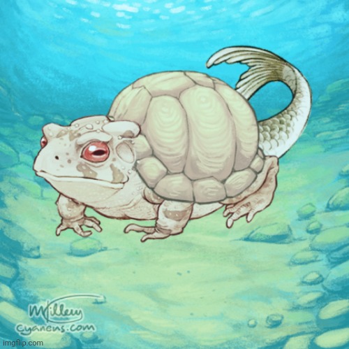 Turtrogish | image tagged in turtrogish,turtle,frog,fish,ae | made w/ Imgflip meme maker