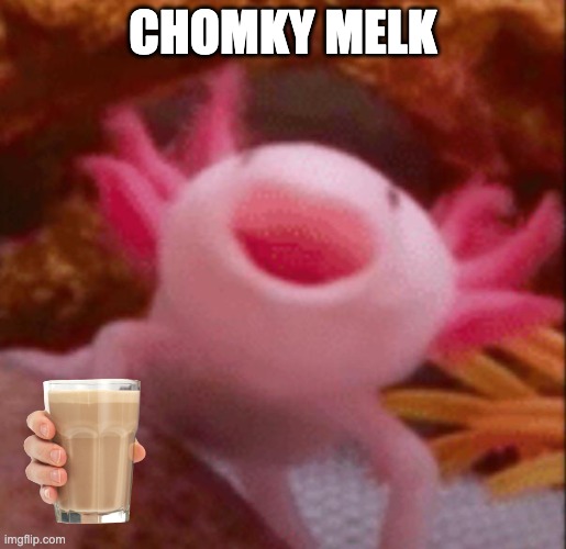 chomky melk | CHOMKY MELK | image tagged in choccy milk,axolotl,most epic axolotl | made w/ Imgflip meme maker
