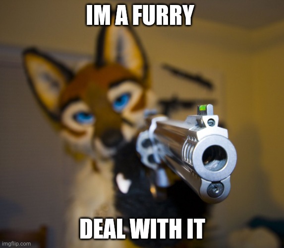 Furry with gun | IM A FURRY; DEAL WITH IT | image tagged in furry with gun | made w/ Imgflip meme maker