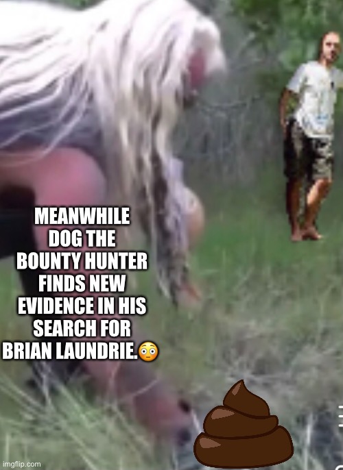 Dog The Bounty Hunter | MEANWHILE DOG THE BOUNTY HUNTER FINDS NEW EVIDENCE IN HIS SEARCH FOR BRIAN LAUNDRIE.😳 | image tagged in breaking news | made w/ Imgflip meme maker