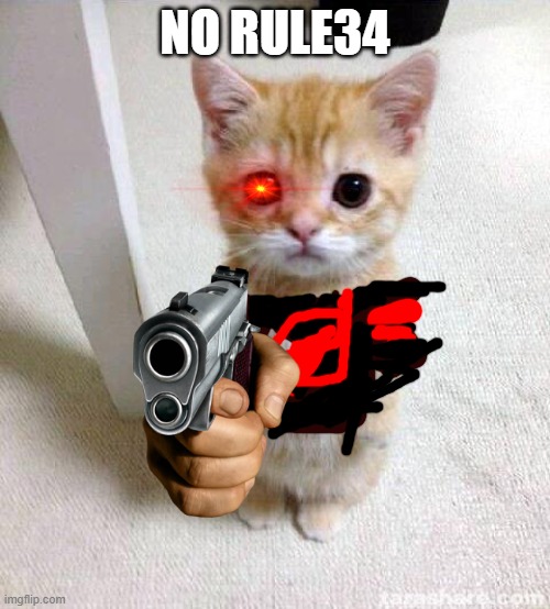 no |  NO RULE34 | image tagged in memes,cute cat | made w/ Imgflip meme maker