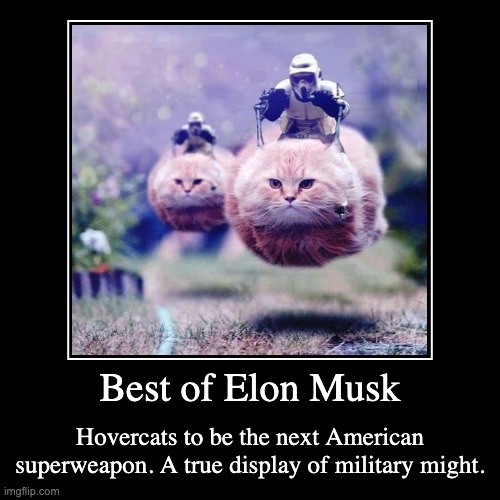 2050: Elon Musk reshapes the world | image tagged in funny,demotivationals,hovercats,elon musk,fun | made w/ Imgflip demotivational maker