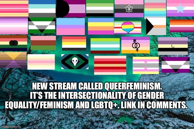QueerFeminism | NEW STREAM CALLED QUEERFEMINISM. IT’S THE INTERSECTIONALITY OF GENDER EQUALITY/FEMINISM AND LGBTQ+. LINK IN COMMENTS. | made w/ Imgflip meme maker