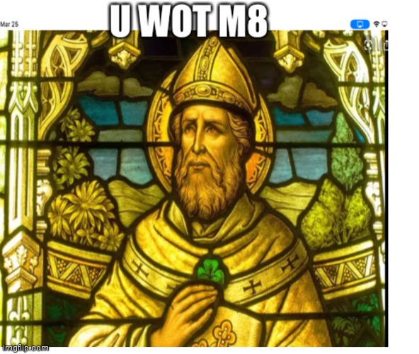 U wot m8 st Patrick | image tagged in u wot m8 st patrick | made w/ Imgflip meme maker
