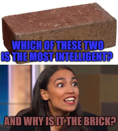 Dumber than a brick | WHICH OF THESE TWO IS THE MOST INTELLIGENT? AND WHY IS IT THE BRICK? | image tagged in brick,crazy aoc | made w/ Imgflip meme maker