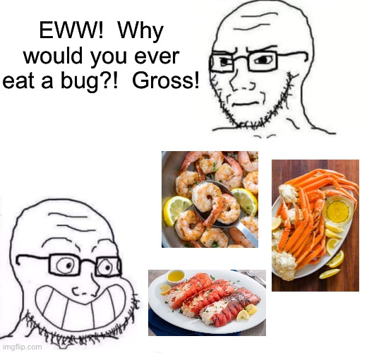 Bet cicadas taste pretty good. | EWW!  Why would you ever eat a bug?!  Gross! | image tagged in hypocrite neckbeard | made w/ Imgflip meme maker