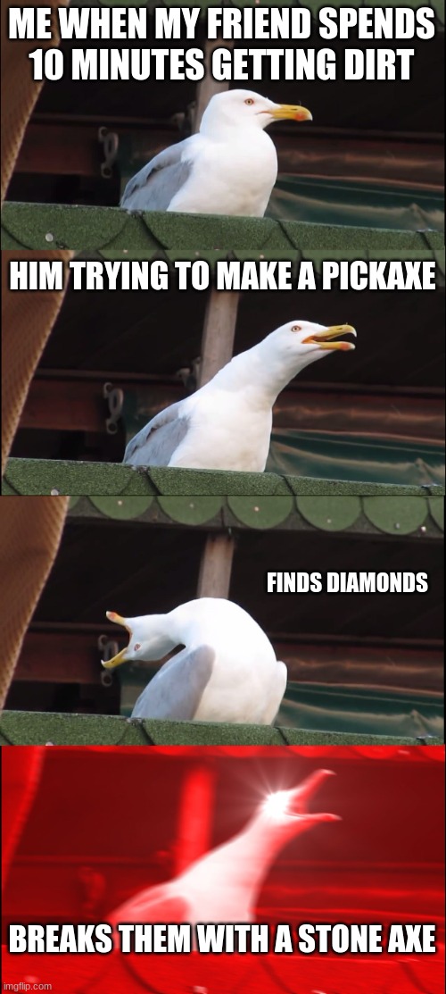 triggered | ME WHEN MY FRIEND SPENDS 10 MINUTES GETTING DIRT; HIM TRYING TO MAKE A PICKAXE; FINDS DIAMONDS; BREAKS THEM WITH A STONE AXE | image tagged in memes,inhaling seagull | made w/ Imgflip meme maker