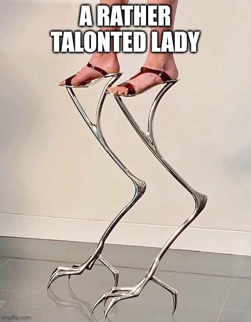 One ticket for the talont show | A RATHER TALONTED LADY | image tagged in lol so funny | made w/ Imgflip meme maker