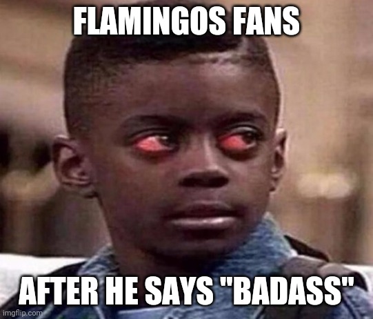 High | FLAMINGOS FANS; AFTER HE SAYS "BADASS" | image tagged in high kid | made w/ Imgflip meme maker