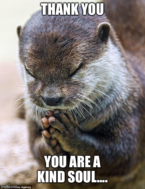 Thank you Lord Otter | THANK YOU YOU ARE A KIND SOUL.... | image tagged in thank you lord otter | made w/ Imgflip meme maker
