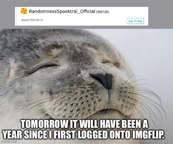Satisfied Seal Meme | TOMORROW IT WILL HAVE BEEN A YEAR SINCE I FIRST LOGGED ONTO IMGFLIP. | image tagged in memes,satisfied seal | made w/ Imgflip meme maker