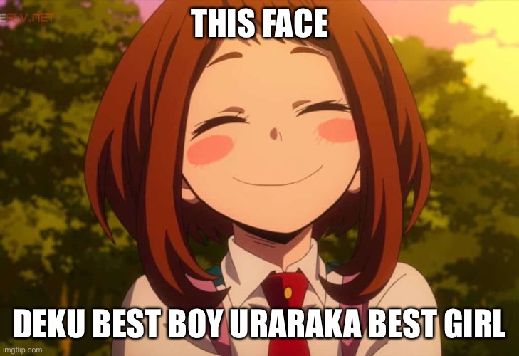 Smiling Uraraka | THIS FACE DEKU BEST BOY URARAKA BEST GIRL | image tagged in smiling uraraka | made w/ Imgflip meme maker