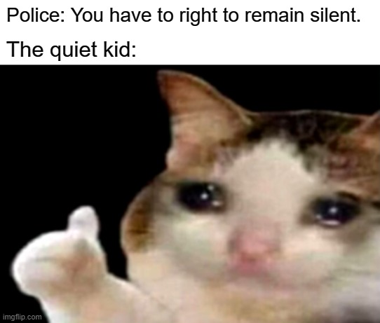 Remain Silent | Police: You have to right to remain silent. The quiet kid: | image tagged in sad cat thumbs up | made w/ Imgflip meme maker