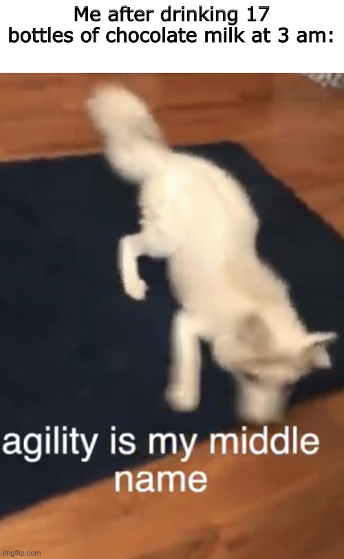 ADHD Fox | Me after drinking 17 bottles of chocolate milk at 3 am: | image tagged in adhd fox | made w/ Imgflip meme maker