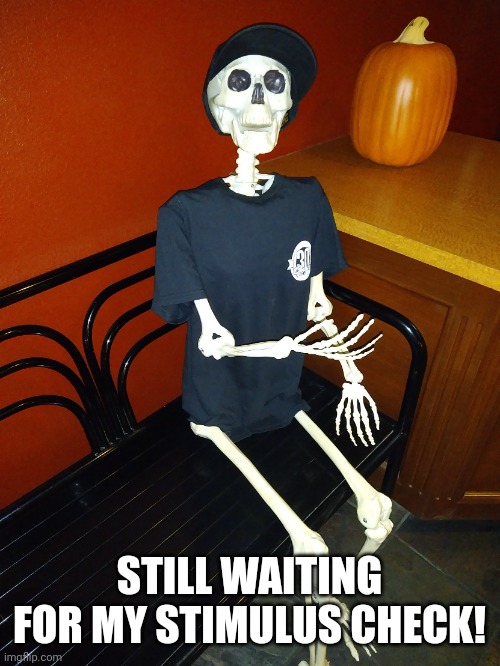 Still Waiting | STILL WAITING FOR MY STIMULUS CHECK! | image tagged in still waiting | made w/ Imgflip meme maker