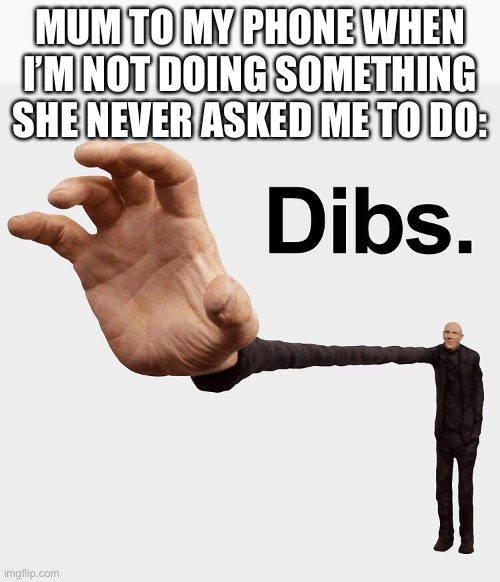 Dibs | MUM TO MY PHONE WHEN I’M NOT DOING SOMETHING SHE NEVER ASKED ME TO DO: | image tagged in dibs | made w/ Imgflip meme maker