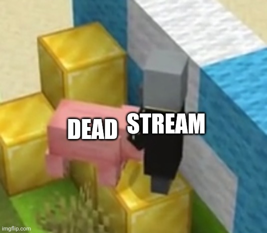 Dead stream | STREAM; DEAD | image tagged in pig giving pillager head | made w/ Imgflip meme maker