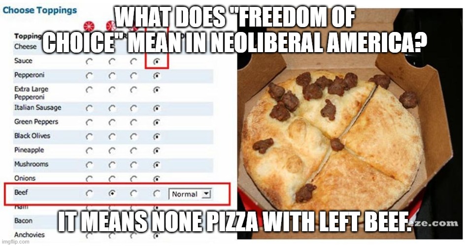 Don't You Think There's More To "Freedom" Than This? | WHAT DOES "FREEDOM OF CHOICE" MEAN IN NEOLIBERAL AMERICA? IT MEANS NONE PIZZA WITH LEFT BEEF. | image tagged in freedom,pizza,fast food,fast food worker,choice,free will | made w/ Imgflip meme maker