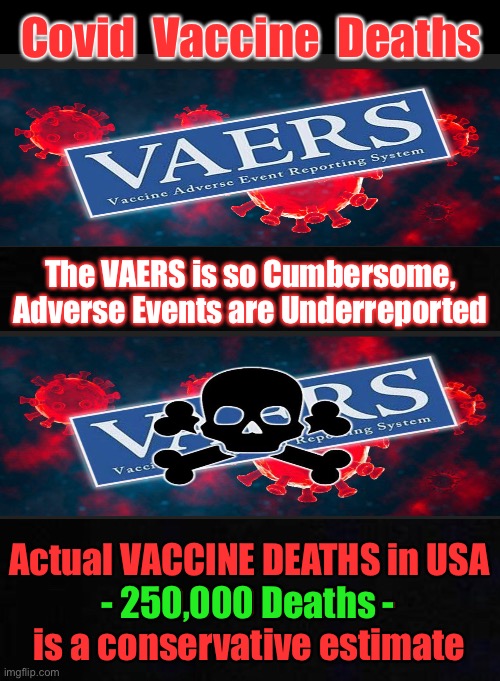 It’s much worse, than even These numbers | Covid  Vaccine  Deaths; The VAERS is so Cumbersome, 
Adverse Events are Underreported; Actual VACCINE DEATHS in USA
- 250,000 Deaths -
is a conservative estimate; - 250,000 Deaths - | image tagged in memes,vaccine,vaccination,they are killing us,they have a reason and a plan,power money control | made w/ Imgflip meme maker