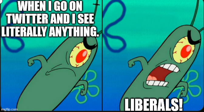 It's funny cuz I'm a communist |  WHEN I GO ON TWITTER AND I SEE LITERALLY ANYTHING. LIBERALS! | image tagged in angry plankton | made w/ Imgflip meme maker