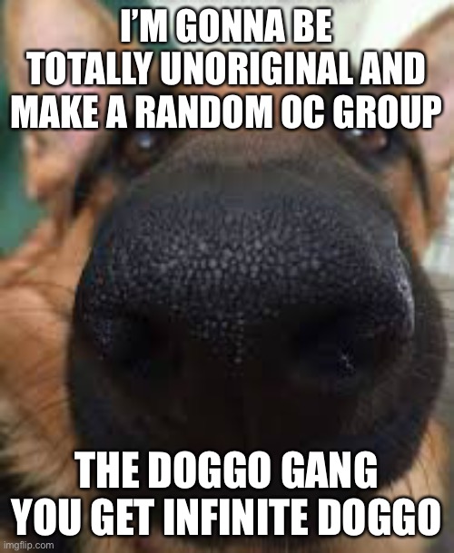 German shepherd but funni | I’M GONNA BE TOTALLY UNORIGINAL AND MAKE A RANDOM OC GROUP; THE DOGGO GANG
YOU GET INFINITE DOGGO | image tagged in german shepherd but funni | made w/ Imgflip meme maker