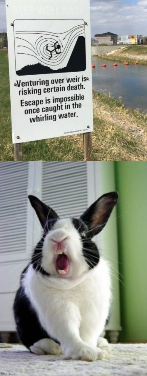 Whirling water | image tagged in ahhhhhbunny,water,funny signs,funny sign,memes,meme | made w/ Imgflip meme maker