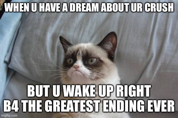Grumpy Cat Bed | WHEN U HAVE A DREAM ABOUT UR CRUSH; BUT U WAKE UP RIGHT B4 THE GREATEST ENDING EVER | image tagged in memes,grumpy cat bed,grumpy cat | made w/ Imgflip meme maker