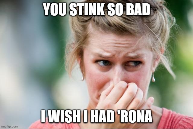 Stinky Face | YOU STINK SO BAD; I WISH I HAD 'RONA | image tagged in stinky face | made w/ Imgflip meme maker