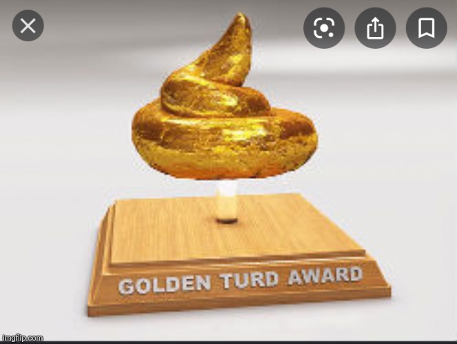 Gold poo | image tagged in gold poo | made w/ Imgflip meme maker