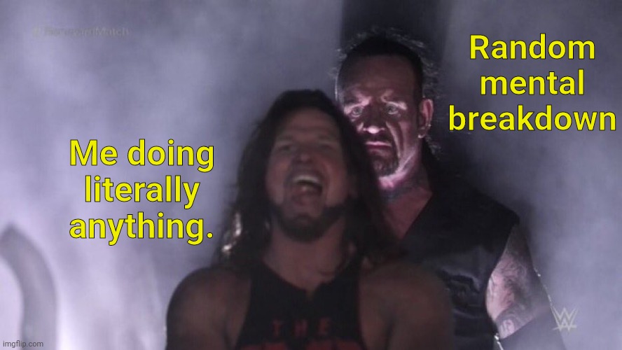 AJ Styles & Undertaker | Random mental breakdown; Me doing literally anything. | image tagged in aj styles undertaker | made w/ Imgflip meme maker