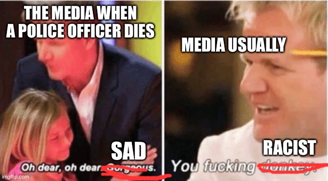 Unfortunately, this is the world I am cursed with | THE MEDIA WHEN A POLICE OFFICER DIES; MEDIA USUALLY; RACIST; SAD | image tagged in gordon ramsey talking to kids vs talking to adults | made w/ Imgflip meme maker