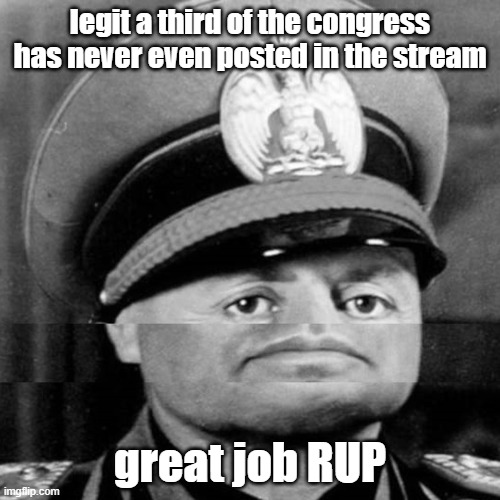 I'm just so glad that the stream is actually being represented and.... oh wait, 1/3 of the members have never even posted here | legit a third of the congress has never even posted in the stream; great job RUP | image tagged in squished mussolini | made w/ Imgflip meme maker
