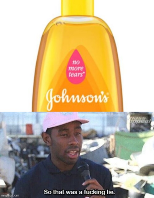 Horseshit | image tagged in so that was a f ing lie,only fools and horses,lies,shampoo,heres johnny | made w/ Imgflip meme maker