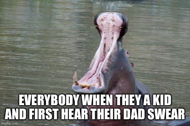“MoOoOoOoOoM” | EVERYBODY WHEN THEY A KID AND FIRST HEAR THEIR DAD SWEAR | image tagged in hippo mouth open | made w/ Imgflip meme maker