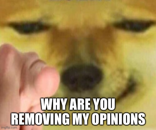 Cheems Pointing At You | WHY ARE YOU REMOVING MY OPINIONS | image tagged in cheems pointing at you | made w/ Imgflip meme maker