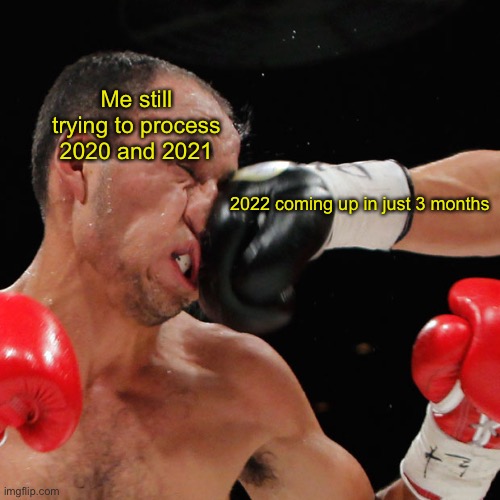 Help | Me still trying to process 2020 and 2021; 2022 coming up in just 3 months | image tagged in boxer getting punched in the face | made w/ Imgflip meme maker