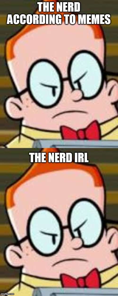 THE NERD ACCORDING TO MEMES THE NERD IRL | image tagged in melvin | made w/ Imgflip meme maker