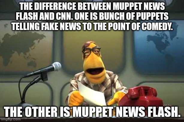 Muppet News Flash | THE DIFFERENCE BETWEEN MUPPET NEWS FLASH AND CNN. ONE IS BUNCH OF PUPPETS TELLING FAKE NEWS TO THE POINT OF COMEDY. THE OTHER IS MUPPET NEWS FLASH. | image tagged in muppet news flash | made w/ Imgflip meme maker