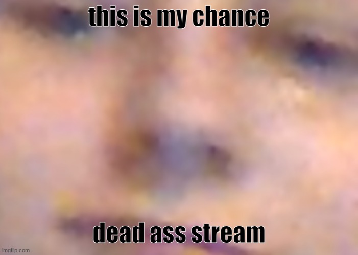 face | this is my chance; dead ass stream | image tagged in face | made w/ Imgflip meme maker
