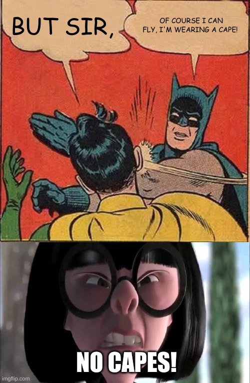 How did I come up with this? XD | BUT SIR, OF COURSE I CAN FLY, I'M WEARING A CAPE! NO CAPES! | image tagged in memes,batman slapping robin,edna mode no capes,funny | made w/ Imgflip meme maker