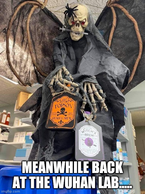 Creepy lab tech | MEANWHILE BACK AT THE WUHAN LAB..... | image tagged in halloween | made w/ Imgflip meme maker