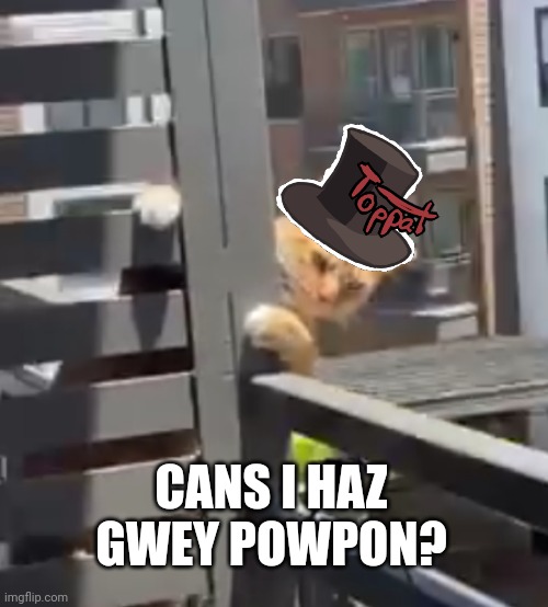 Fancy kitty needs condiment. | CANS I HAZ GWEY POWPON? | image tagged in neighbor kitty,i needs yellow stuffs please | made w/ Imgflip meme maker