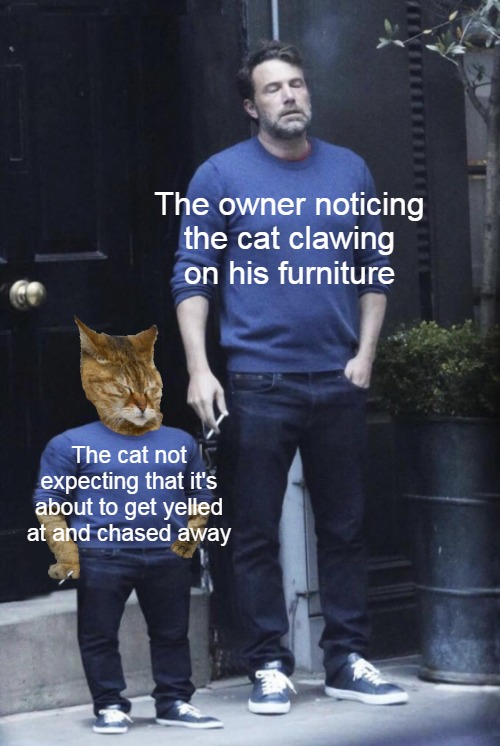 Destructive Feline Habit | The owner noticing the cat clawing on his furniture; The cat not expecting that it's about to get yelled at and chased away | image tagged in ben affleck and his cat smoking,meme | made w/ Imgflip meme maker