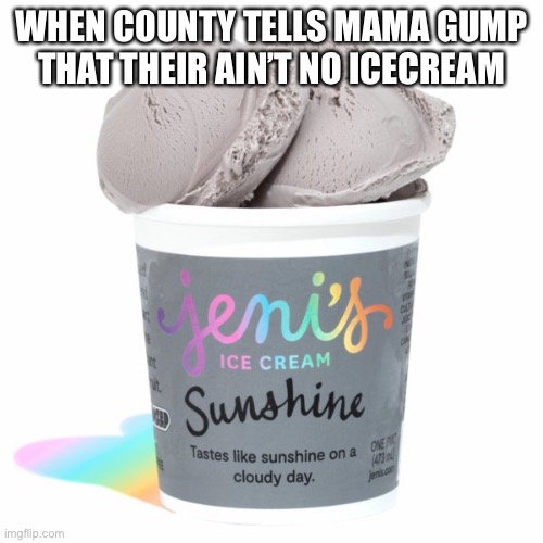 Jenny’s Algorithm 101: | WHEN COUNTY TELLS MAMA GUMP THAT THEIR AIN’T NO ICECREAM | image tagged in forrest gump | made w/ Imgflip meme maker