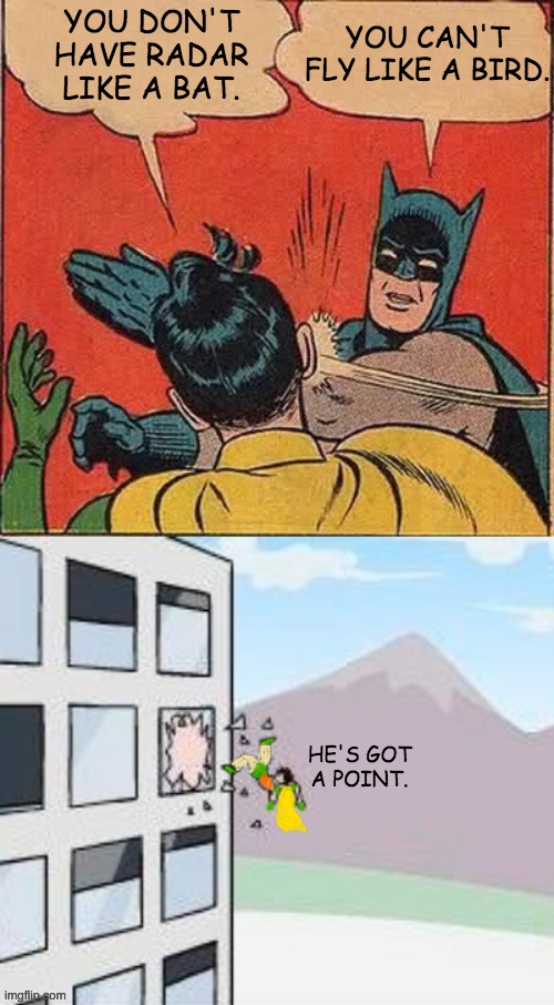 Robin was always holding him back anyway. | YOU CAN'T FLY LIKE A BIRD. YOU DON'T HAVE RADAR LIKE A BAT. HE'S GOT
A POINT. | image tagged in memes,batman slapping robin | made w/ Imgflip meme maker