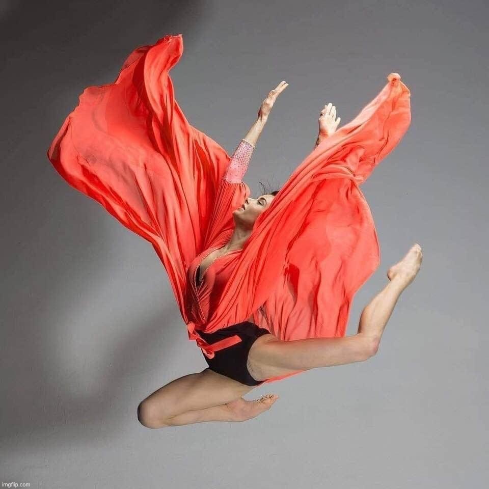 Dancer leap | image tagged in dancer leap | made w/ Imgflip meme maker