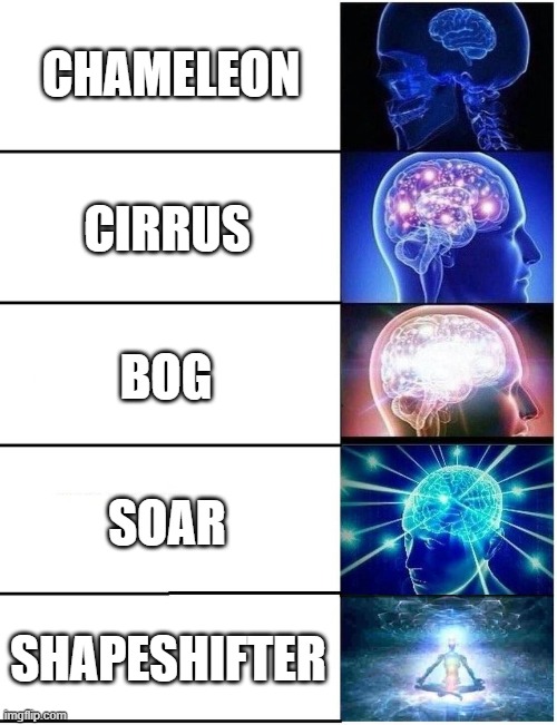 my opinion | CHAMELEON; CIRRUS; BOG; SOAR; SHAPESHIFTER | image tagged in expanding brain 5 panel,wings of fire,wof | made w/ Imgflip meme maker