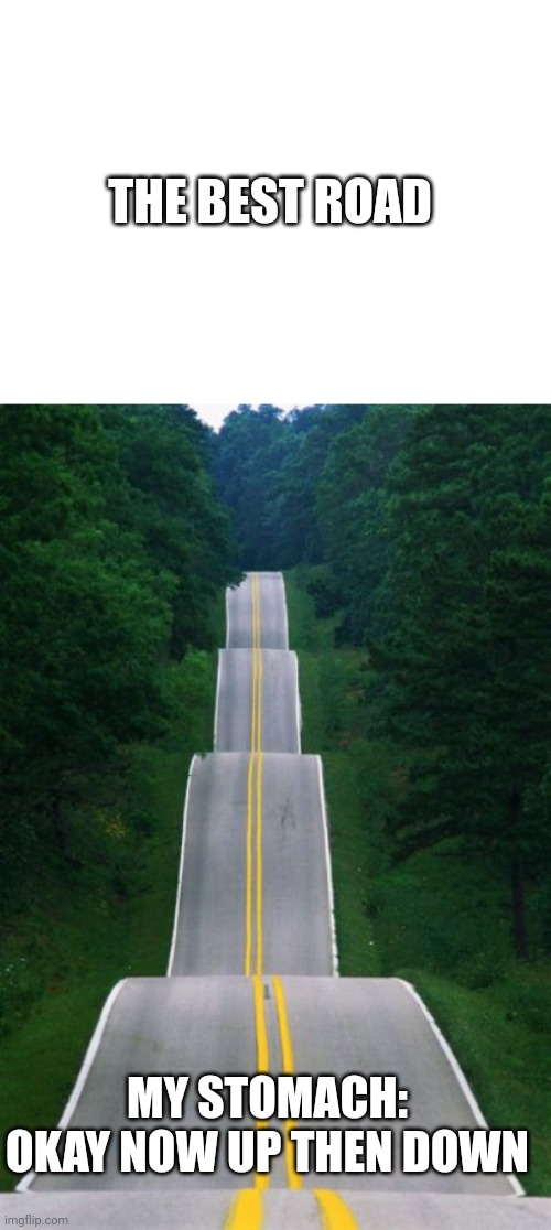 THE BEST ROAD; MY STOMACH: OKAY NOW UP THEN DOWN | image tagged in wavy road | made w/ Imgflip meme maker